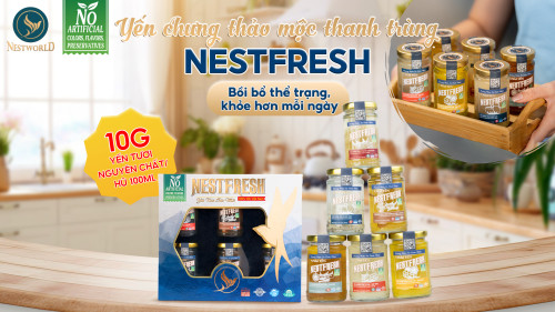6 VỊ YẾN CHƯNG HOT HIT CỦA NHÀ NESTWORLD