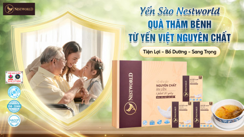 MUA YẾN THĂM BỆNH NÊN CHỌN LOẠI NÀO? 