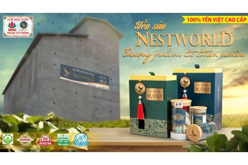 YẾN SÀO NESTWORLD – THƯỢNG PHẨM TỪ THIÊN NHIÊN