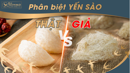 PHÂN BIỆT YẾN THẬT, YẾN ĐỘN DỰA VÀO BẢNG THÀNH PHẦN