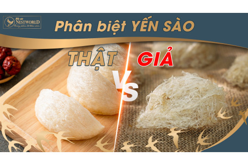 PHÂN BIỆT YẾN THẬT, YẾN ĐỘN DỰA VÀO BẢNG THÀNH PHẦN